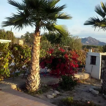 Casa de Férias Holiday Partida Fabraquer San Juan (Alicante)